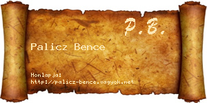 Palicz Bence névjegykártya